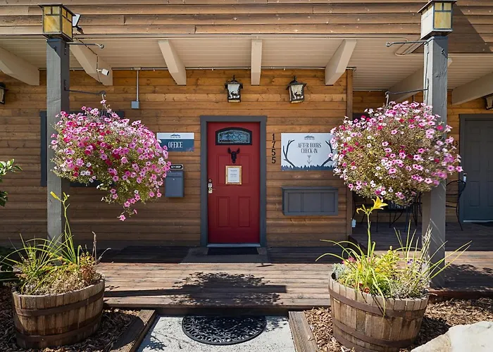Elk Refuge Mini-hôtel Jackson