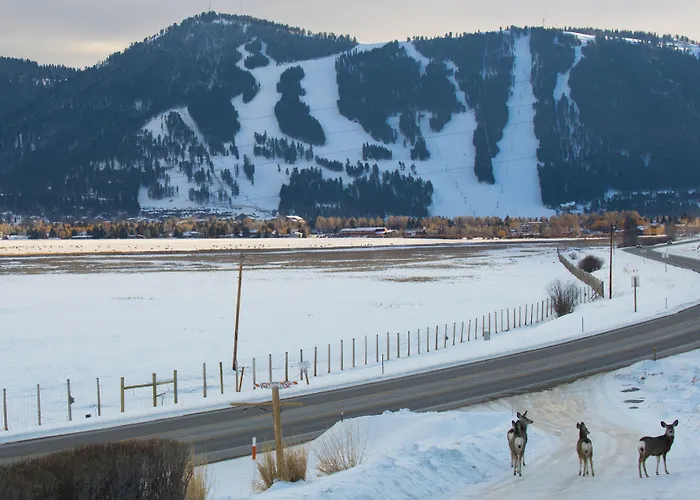 Elk Refuge 2* Jackson